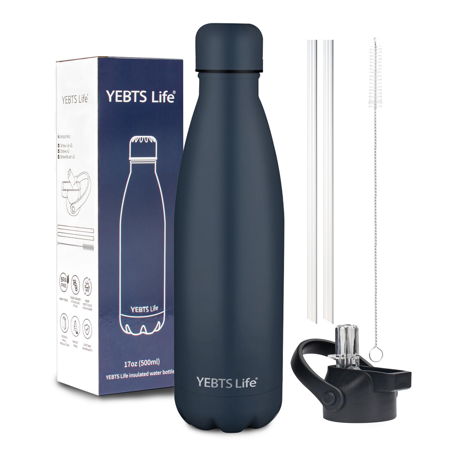 Insulated Stainless Steel Water Bottle with Straw Lid | 17oz