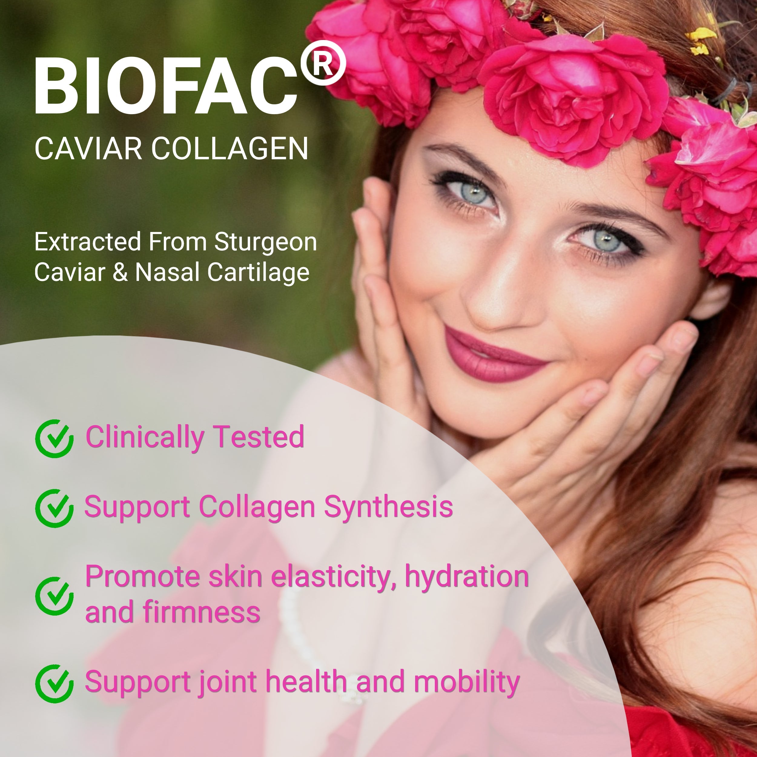 Pre Probiotics Collagen - Women