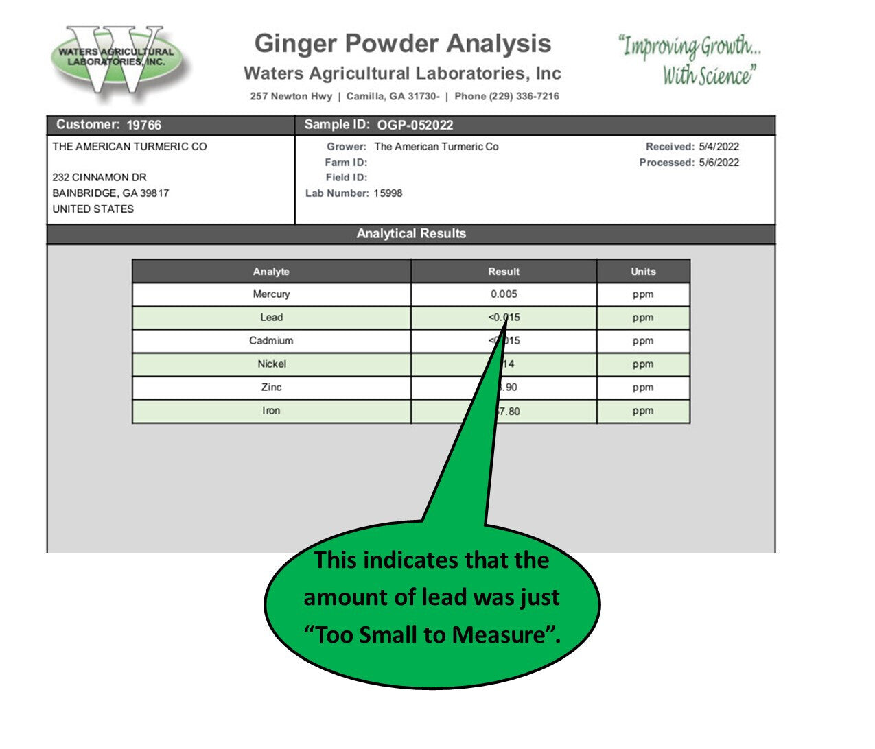 Ginger Powder